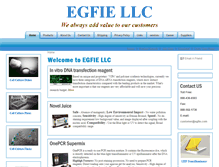 Tablet Screenshot of egfie.com